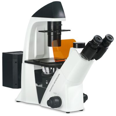 Инвертированный флуоресцентный микроскоп лабораторного класса IMF-020